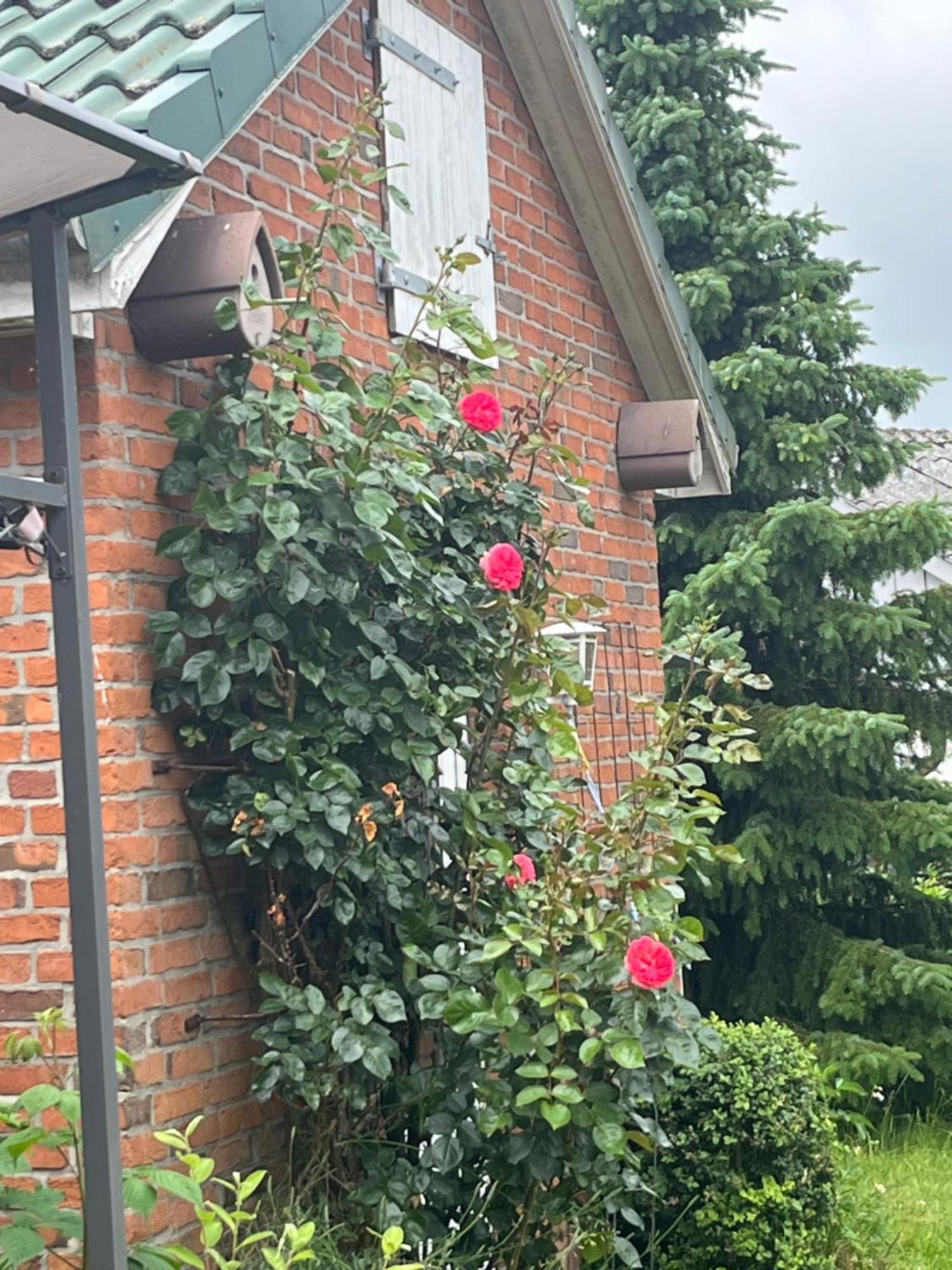 Gartenzimmer Zwischen Den Meeren Ladelund Exterior photo